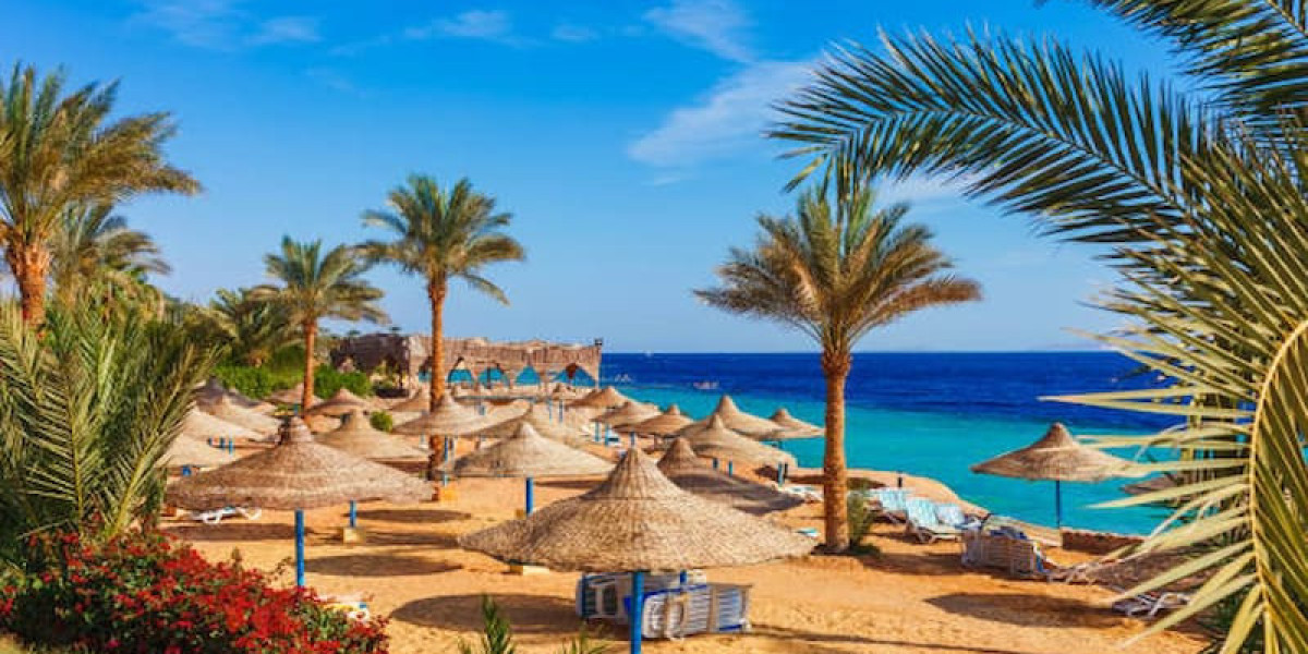 Best Time to Visit Egypt: Weather, Events & Tips