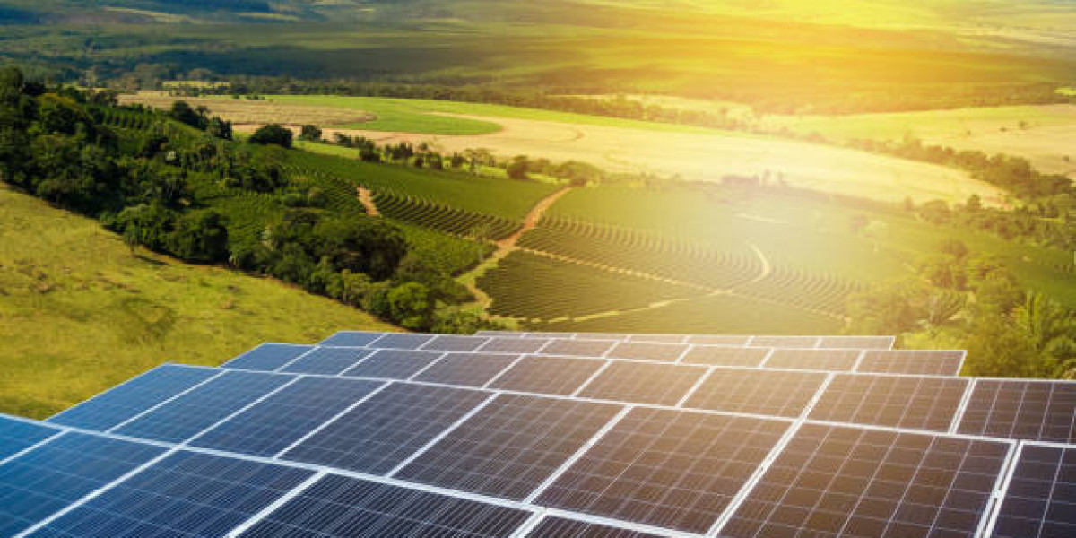 What Are Bifacial Solar Panels? Benefits, Costs & Efficiency Explained