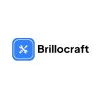brillocraft Profile Picture