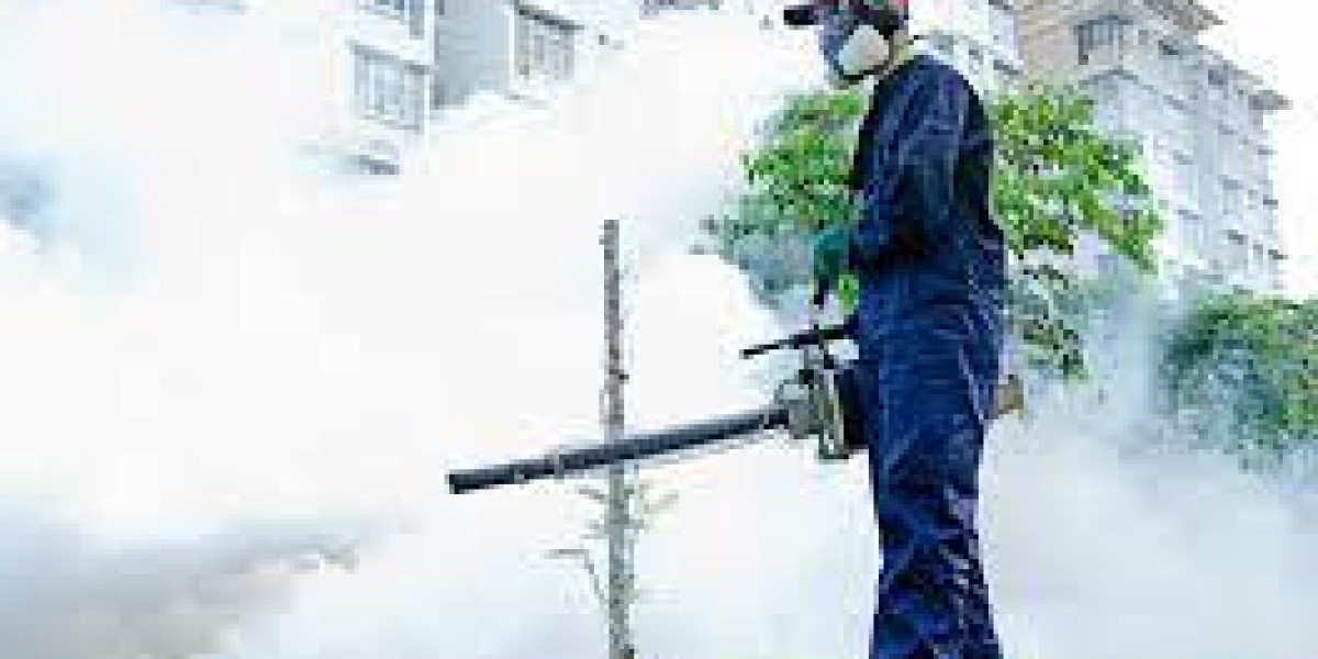 Effective Ant Control London: Keep Your Home and Business Ant-Free