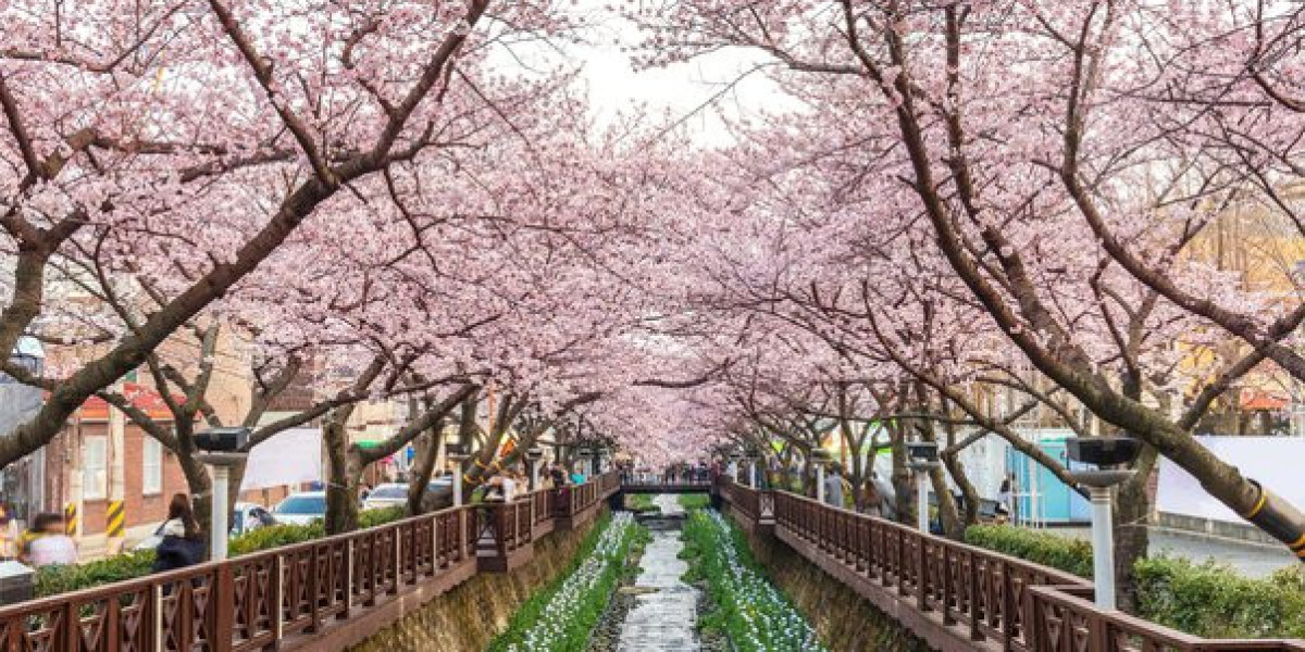 Winter in South Korea: Best Ski Resorts and Snow Experiences