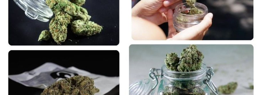 Markt. Weed Dispensary Universal Profile Picture
