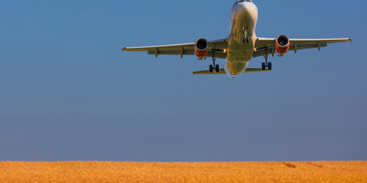✈️ My Journey from Delhi to Bangalore: A Sky-High Shift Across Cities