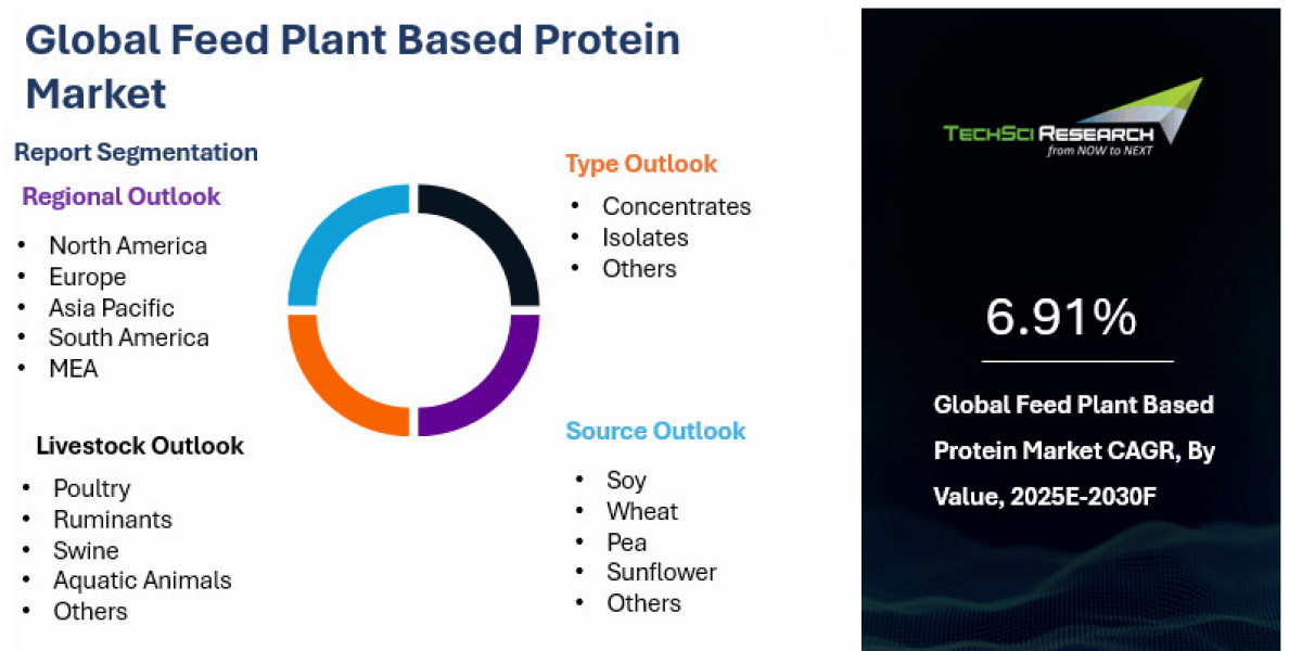 Feed Plant Based Protein Market Climbs with Ethical Farming Trends