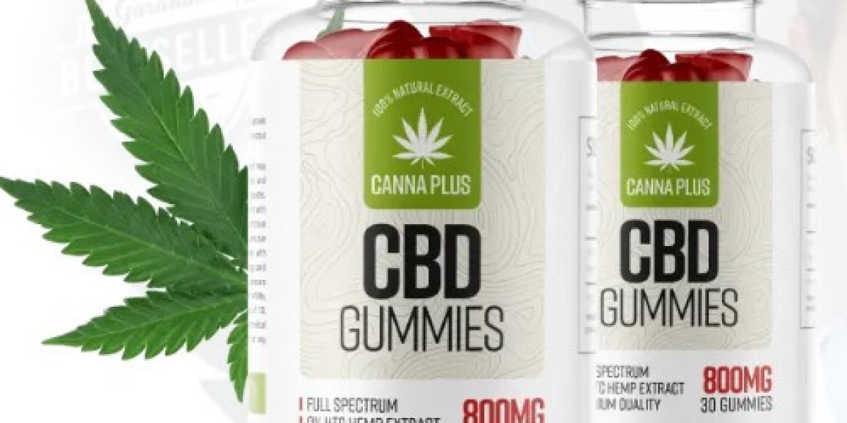 Quels sont les ingrédients de Canna Plus CBD ?