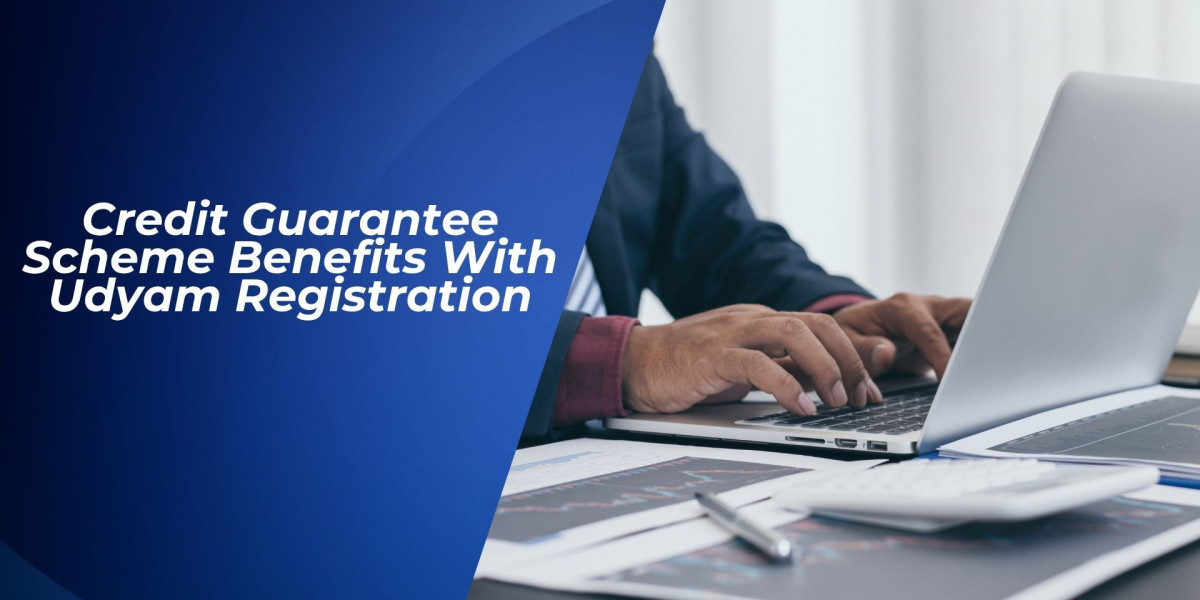 Credit Guarantee Scheme Benefits With Udyam Registration