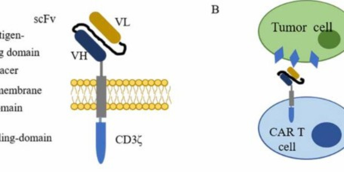 CAR-T Cell Therapy: Revolutionizing Cancer Treatment and Beyond