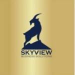 Skyview Business Solutions Profile Picture