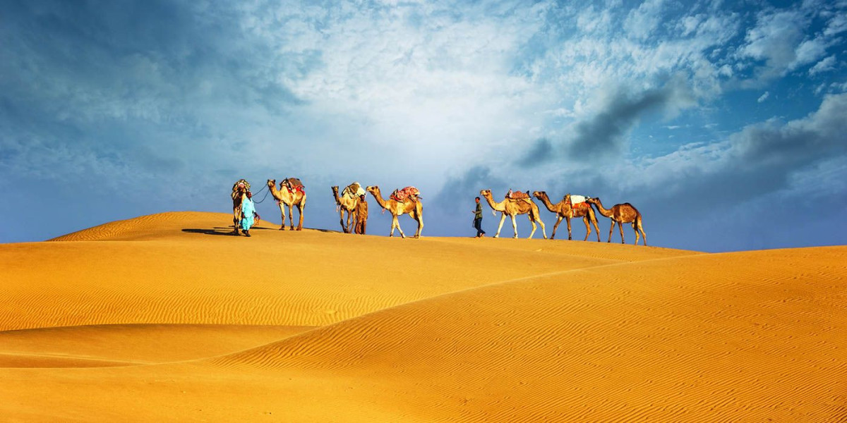 Explore the Thrills of a Desert Safari in Dubai