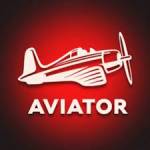 Aviator Registration Profile Picture