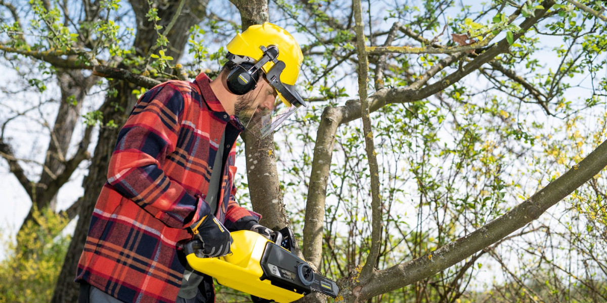 How Tree Surgeons in Blackpool Improve Property Value