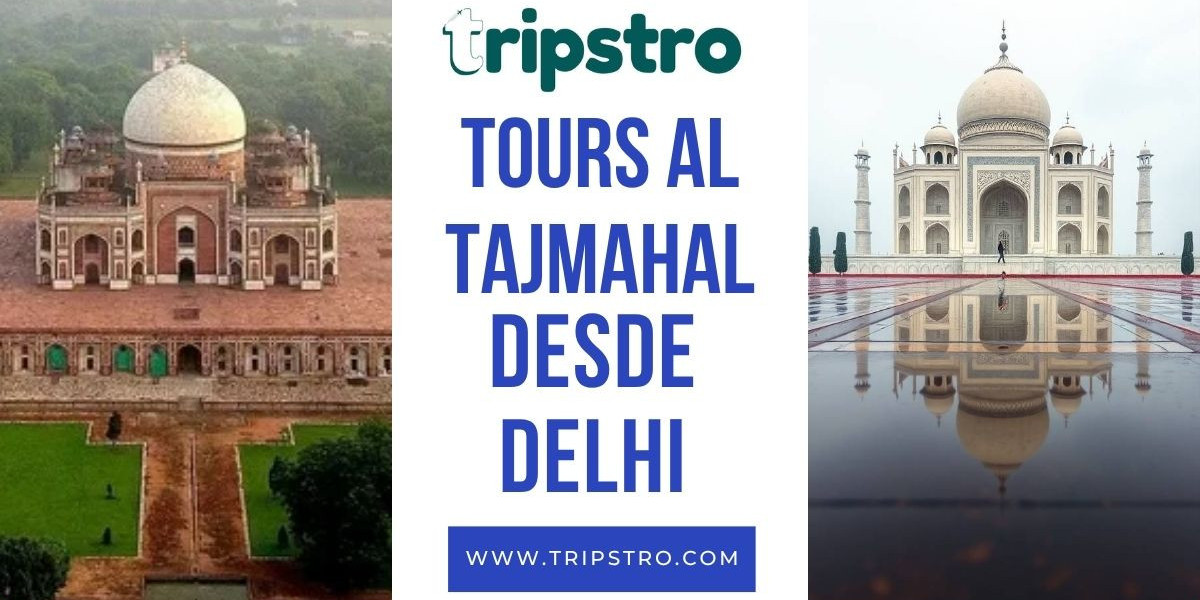 Tours al Taj Mahal desde Delhi: ¡Una experiencia que cambiará tu vida!