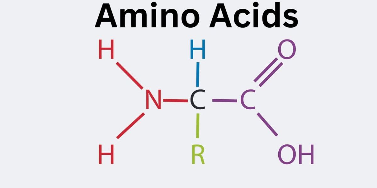 Precision Nutrition Meets Market Demand: Amino Acids Industry in Focus