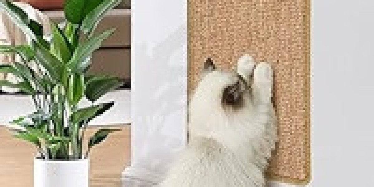 Cat Scratching Mat: The Best Home Essential for Cat Owners in the USA