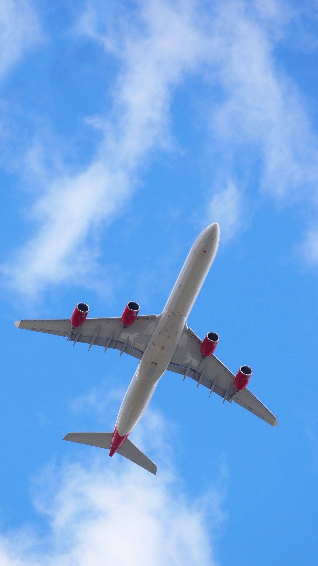cheap flights Profile Picture
