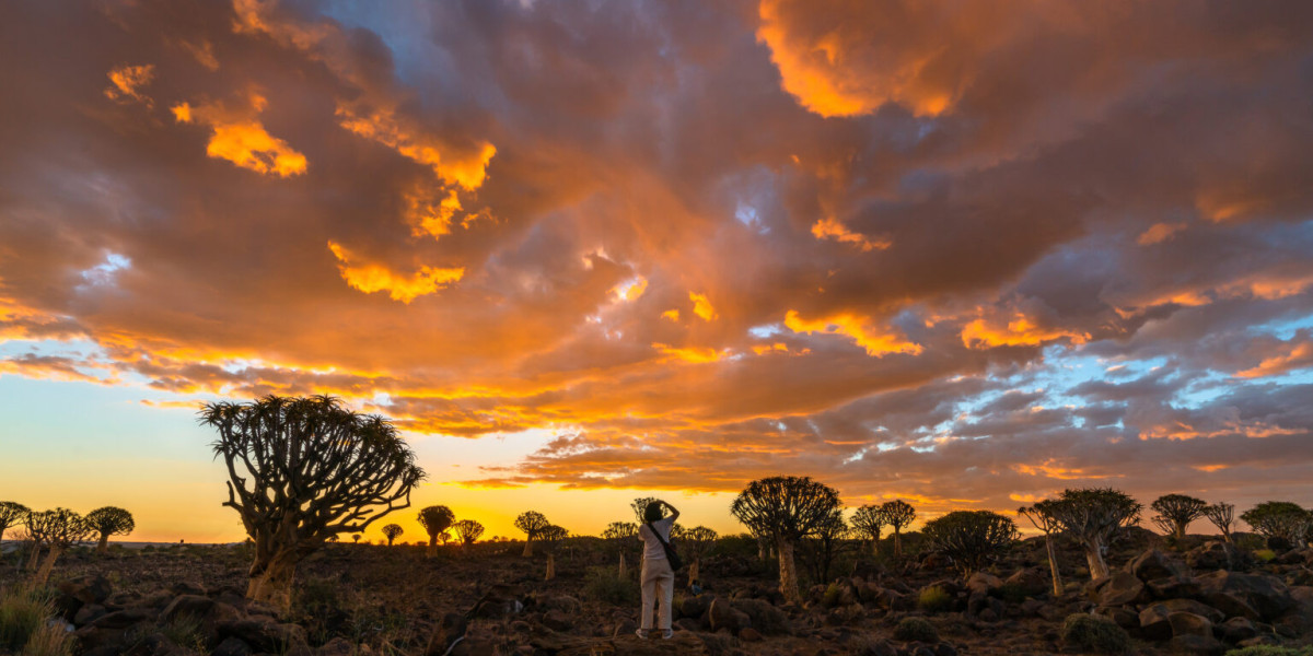 Discover the Wonders: Best Places to Travel to in South Africa