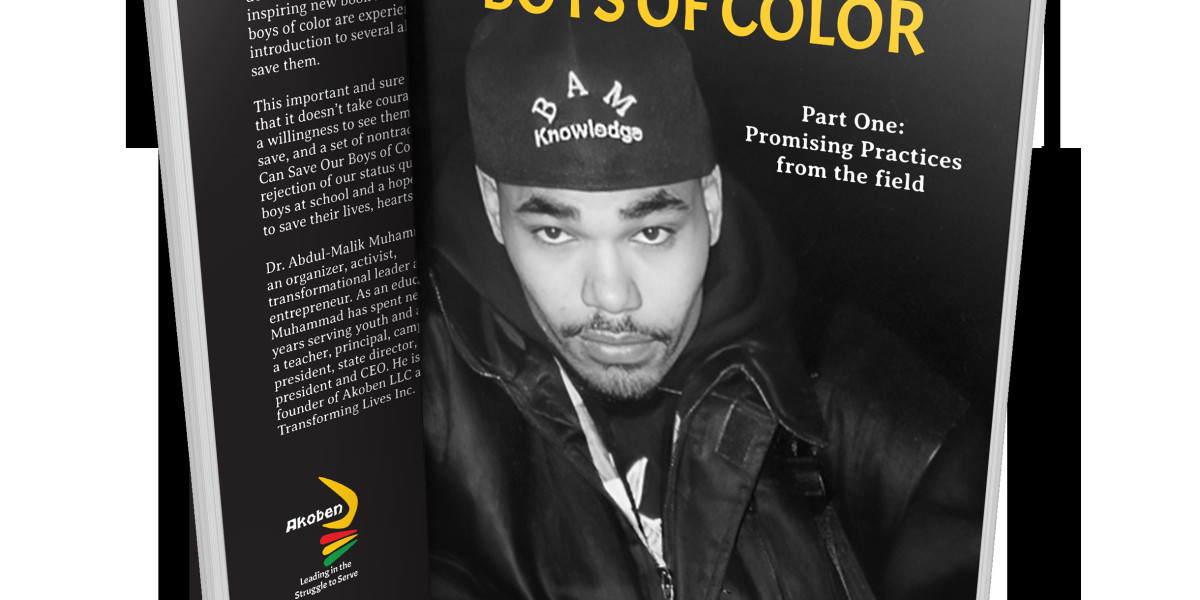Youth Mentoring Programs for Boys of Color-Save Lives