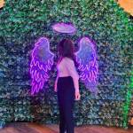 Gauri Sharma Profile Picture