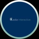 Castle Interactive Profile Picture
