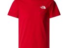 Where to Buy The North Face T Shirt Online: A Guide to Authentic Outdoor Apparel T Shirts and Branded T Shirts for Men