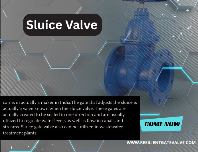 Sluice Valve Manufacturer in India | Quality Water Valves