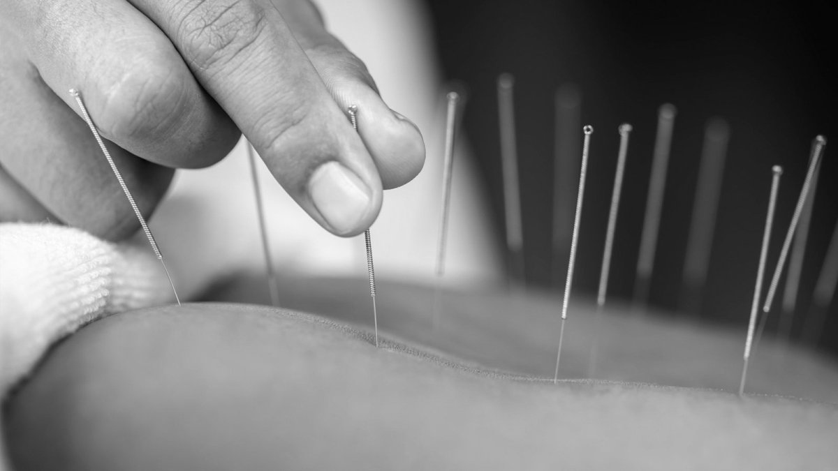 Expert Doctor of Traditional Chinese Medicine Bayside Melbourne