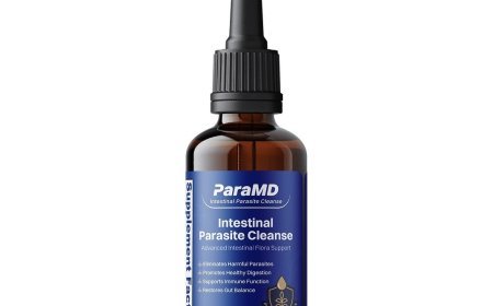 ParaMD Official Report (2026) – How It Works, Ingredients & User Experiences