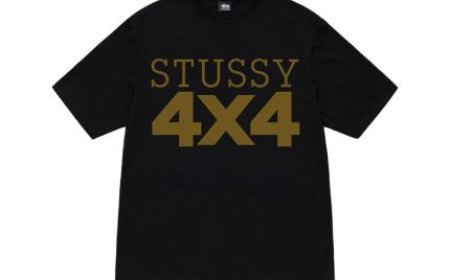 The Growing Demand for Stussy Shirt in 2026