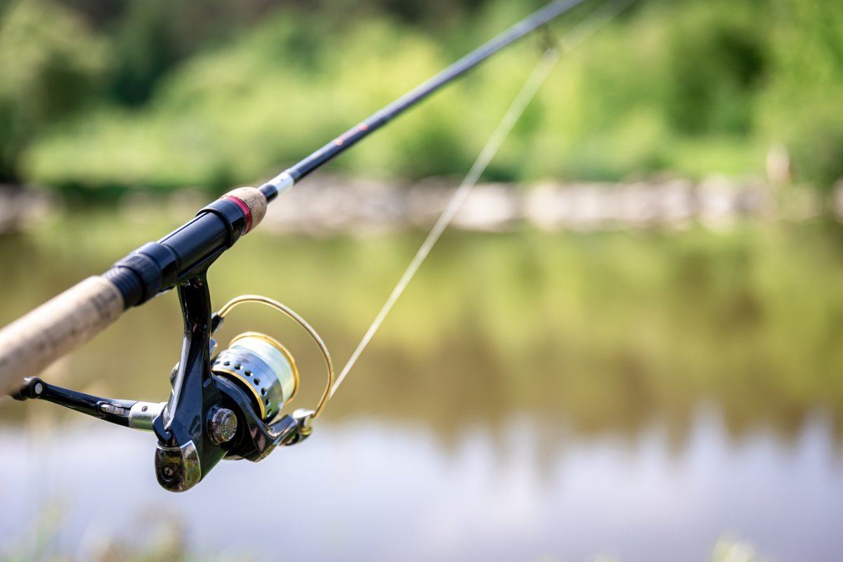 What Is the Best Fly Fishing Rod and Reel Combo for Beginners?