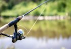 What Is the Best Fly Fishing Rod and Reel Combo for Beginners?