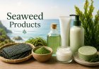 Seaweed Products Market Trends & Innovation: Commercializing Bio-Stimulants and Hydrocolloids through 2034