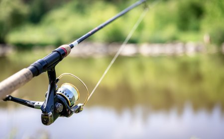 What Is the Best Fly Fishing Rod and Reel Combo for Beginners?