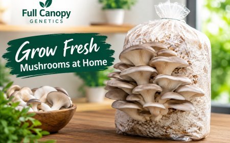 How Ready to Grow Mushroom Blocks Simplify Gourmet Mushroom Cultivation
