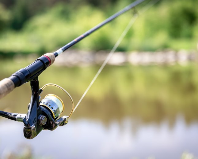 What Is the Best Fly Fishing Rod and Reel Combo for Beginners?
