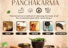 Panchakarma Treatment Benefits, Process & Ayurvedic Care