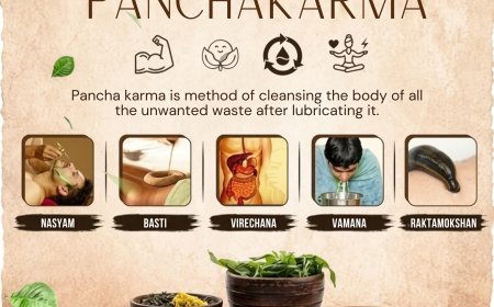 Panchakarma Treatment Benefits, Process & Ayurvedic Care