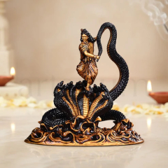 krishnaidol