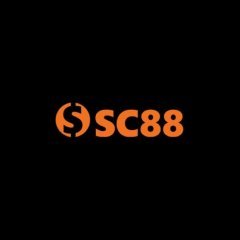 xdsc88com