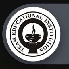 teameducationalinstitute